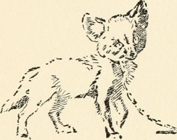 15036663_1637492989883580_8153822526101132976_n