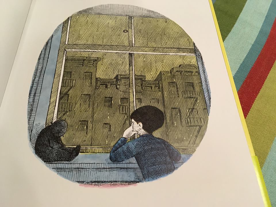 17991953_1521359761230924_8065215392952432390_n