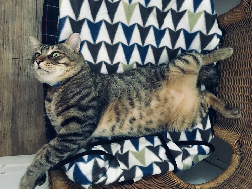 【告別臉書與社群平台公告】