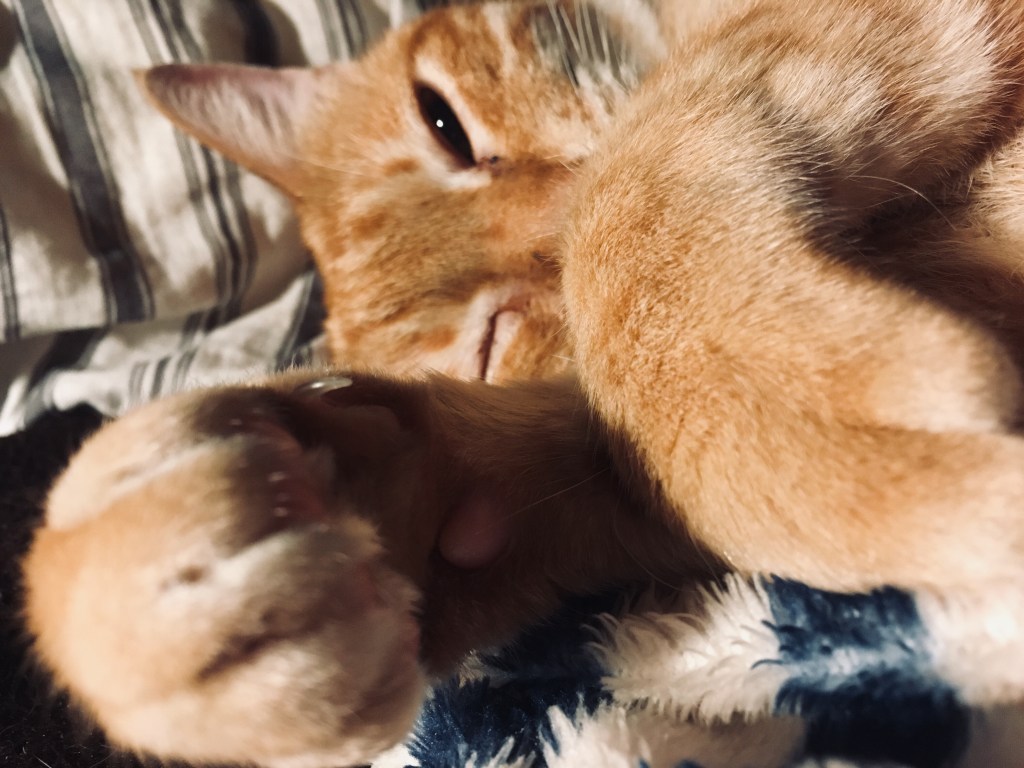 續二三事:回應朋友們的來信