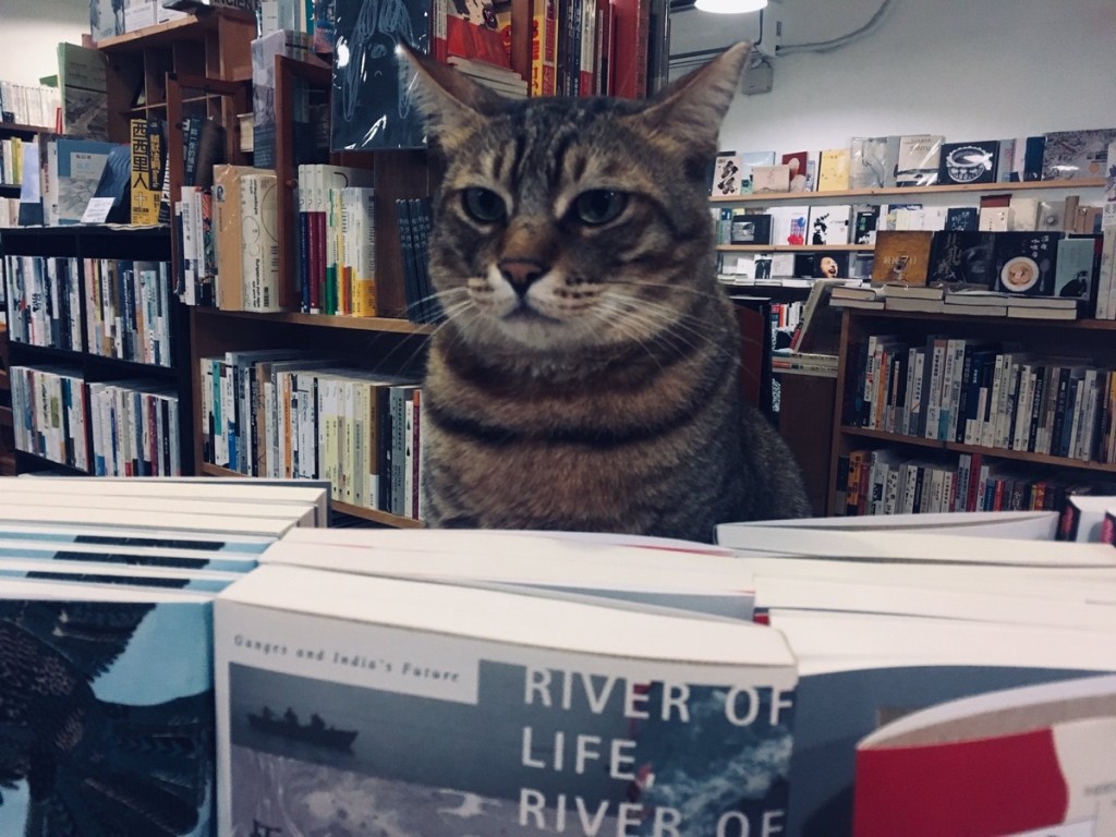 ❝書籍使貓們成為宇宙的主人——豹仔.巴甫連貓❞